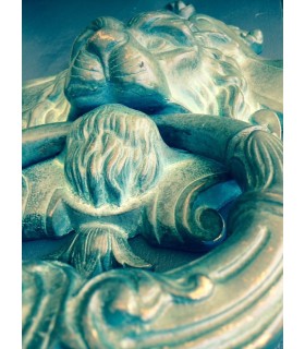 Heurtoir XL série tête de Lion détail 1 Heurtoir XL série tête de Lion détail 1