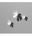 Patère Flowers série CC00322 par Confalonieri set de 3 pièces 