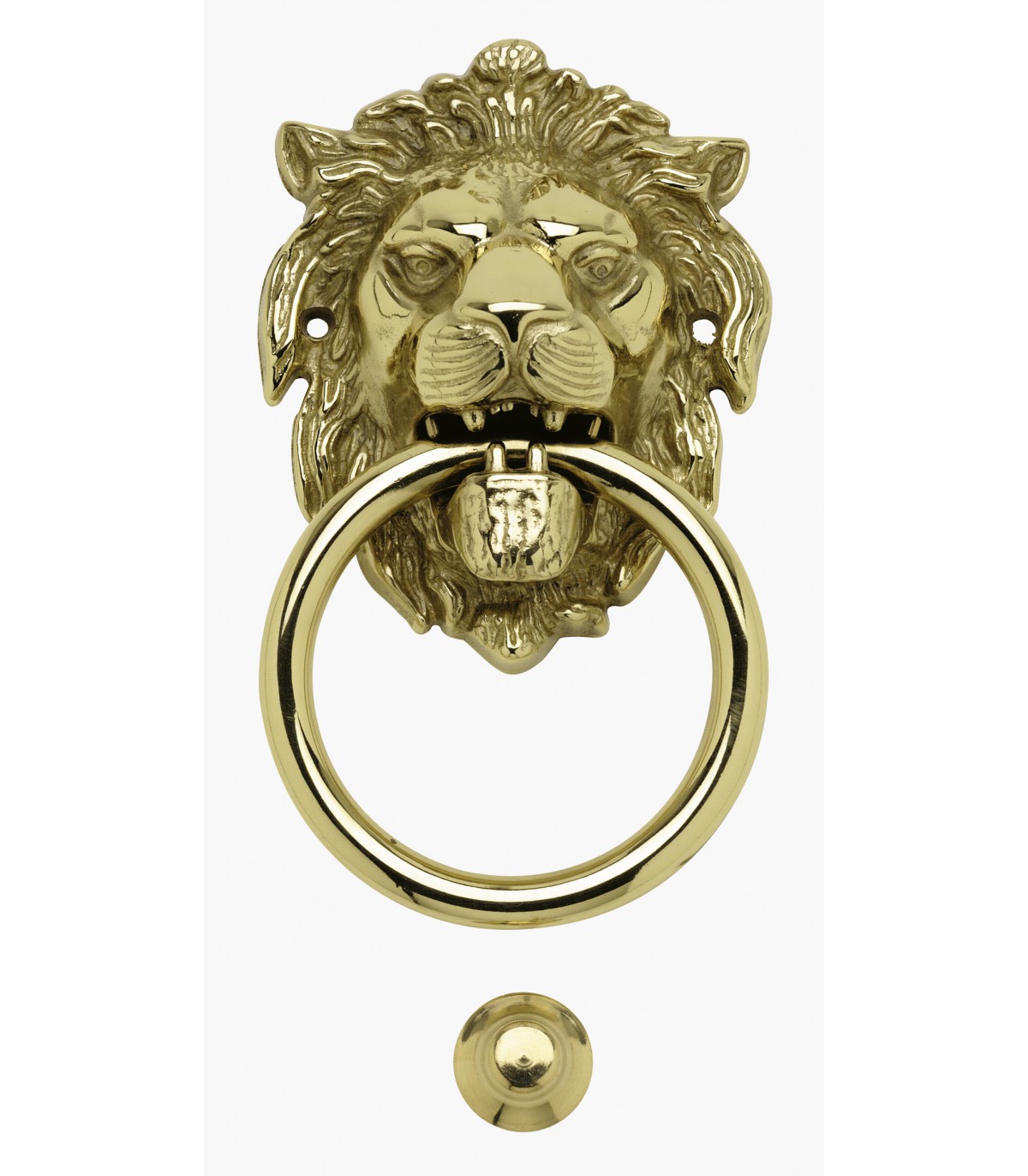 Heurtoir De Porte Dentrée Tête De Lion Bouche Ouverte