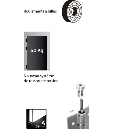 Charnière va et vient en inox sur 10 roulements a billes