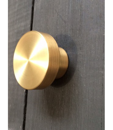 Patère DOTY50 laiton brossé