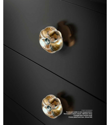 Daisy transparent or