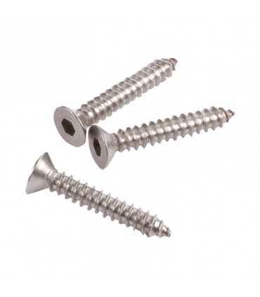 Visserie inox aisi316 pour charnières au ras