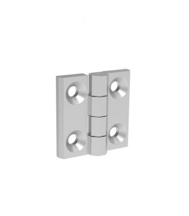Charnière plate 60mm.