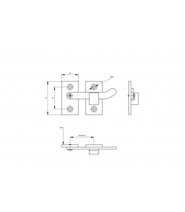 Charnières inox aisi316 pour portillon