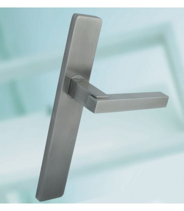 Paire de poignée sur plaque bec de cane série Costa