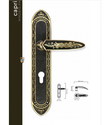 Poignée série CAPRI sur rosace ou plaque