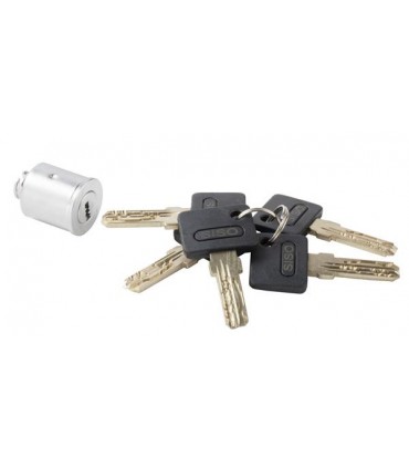 Cylindre de remplacement pour poignée serrure 14606