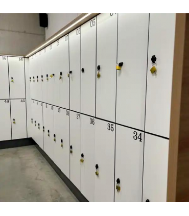 Serrure à came, verrouillable avec cadenas