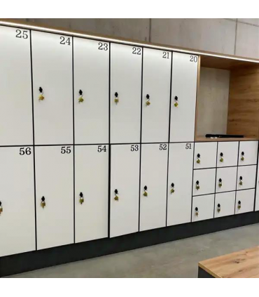 Serrure à came, verrouillable avec cadenas