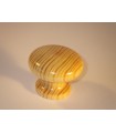 Bouton bois Pin vernis tansparent Bouton bois Pin vernis tansparent
