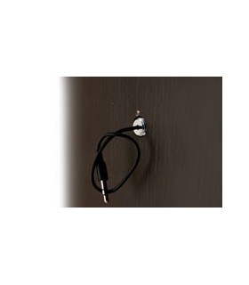 Judas numérique Judas numérique