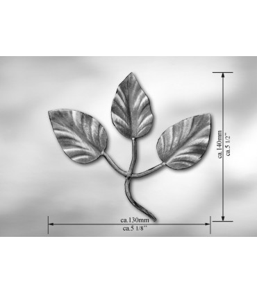 Elément décoratif feuilles et rosaces