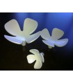 Patère Flowers set de 3 pièces en blanc