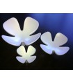 Patère Flowers set de 3 pièces en blanc