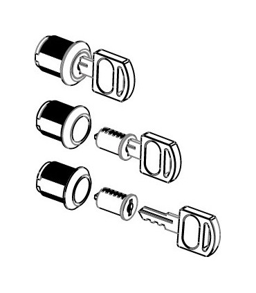 Cylindre amovible pour serrure batteuse