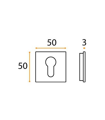 Rosace pour cylindre Européen à encastrée  